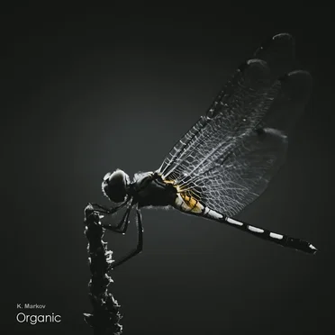 Organic