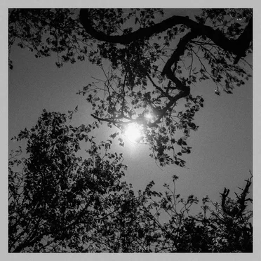 Memories Of Summer