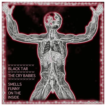 Smells Funny on the Inside by Black Tar and the Cry Babies - album cover