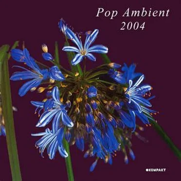 Pop Ambient 2004 by Various Artists - album cover
