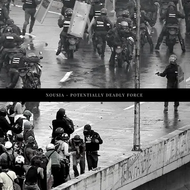 Potentially Deadly Force