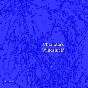Charlotte's Windshield