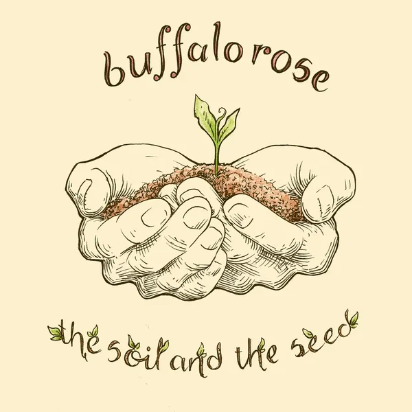 The Soil and the Seed