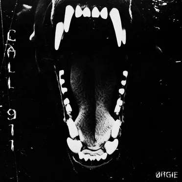 CALL 911 by ØRGIE - album cover