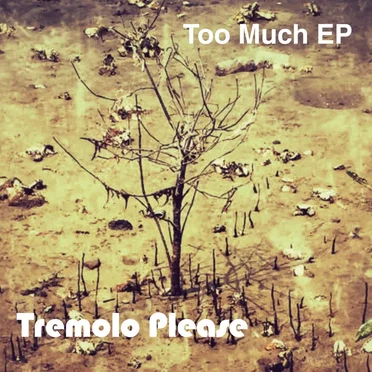 Too Much EP by Tremolo Please - album cover