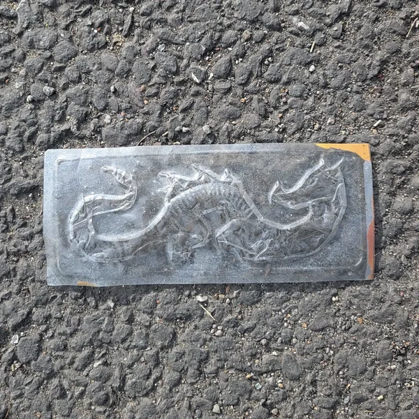 bemused / due dilettante