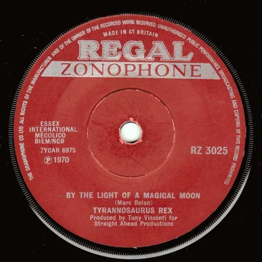 By the Light of a Magical Moon