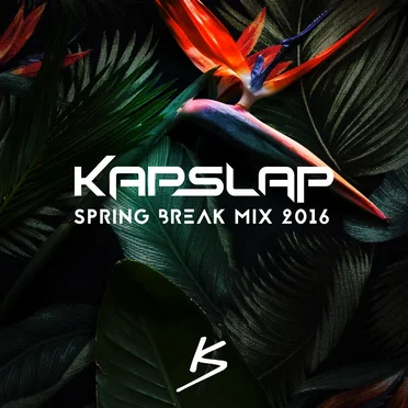 Spring Break Mix 2016
