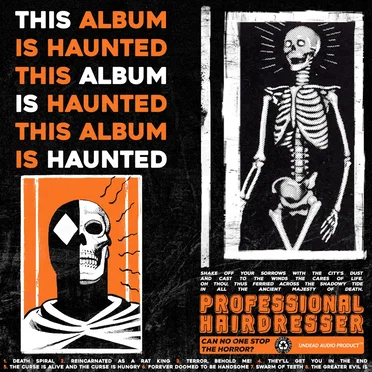 THIS ALBUM IS HAUNTED