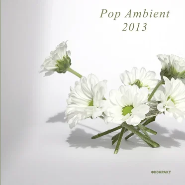 Pop Ambient 2013 by Various Artists - album cover