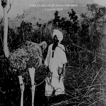 Valediction by I Am a Lake of Burning Orchids - album cover