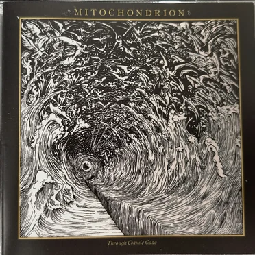 Through Cosmic Gaze by Mitochondrion - album cover
