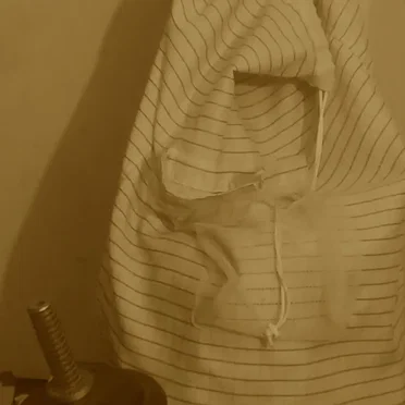 Glory and Disgrace Come From Speaking