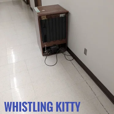 the minifridge that wandered