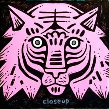 Shapes by Close Up - album cover