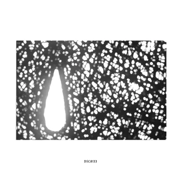 DSC8133 by Hideo Nakasako - album cover