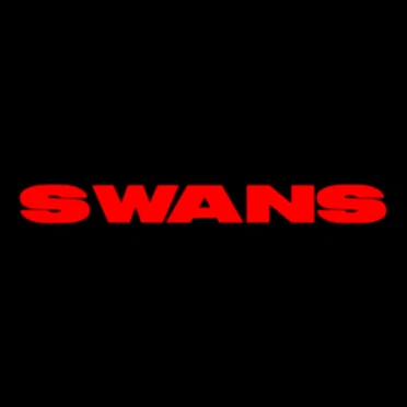 Swans