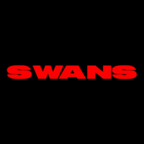 Swans