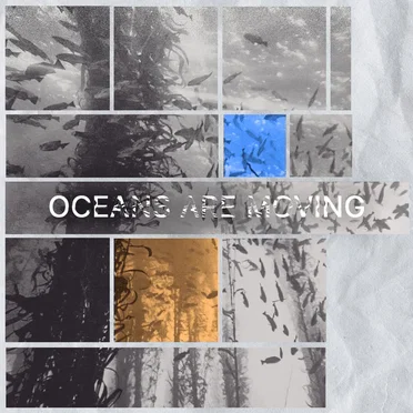 Oceans are Moving
