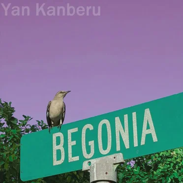 Begonia by Yan Kanberu - album cover