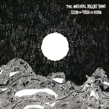 Braille, Slate & Stylus by The Natural Yogurt Band - album cover