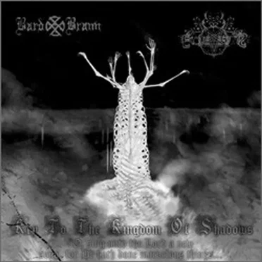 Bard Brann