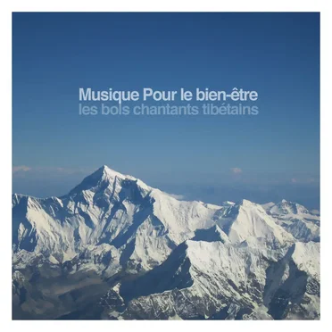 Musique pour le bien-être les bols chantants tibétains pour la détente