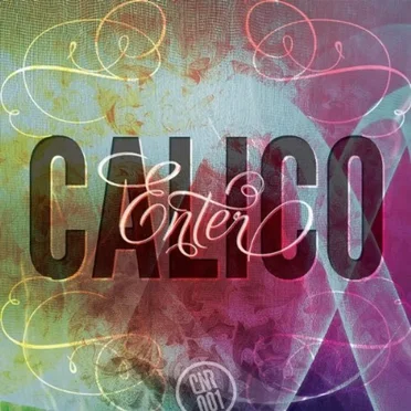 Enter Calico by Various Artists - album cover