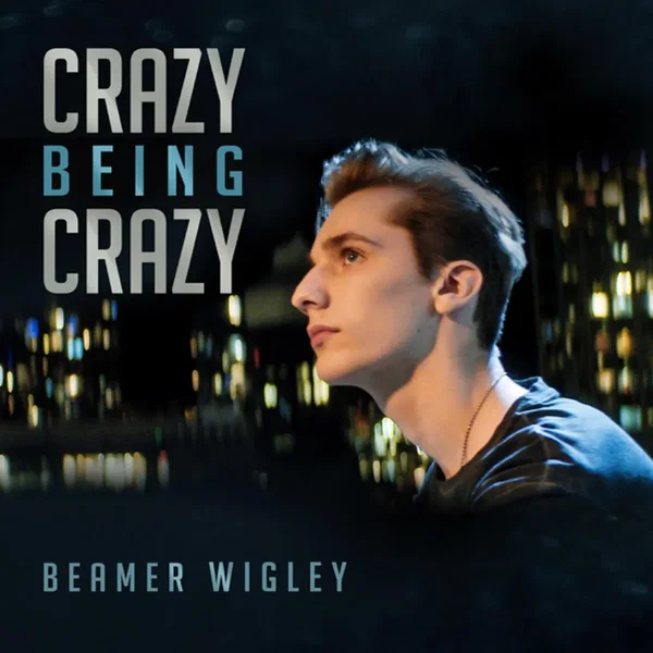 Crazy Being Crazy