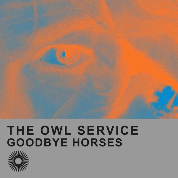 Goodbye Horses