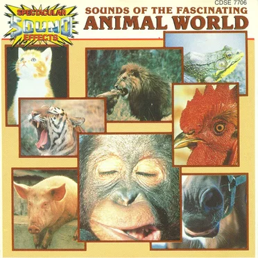 Sounds of the Fascinating Animal World