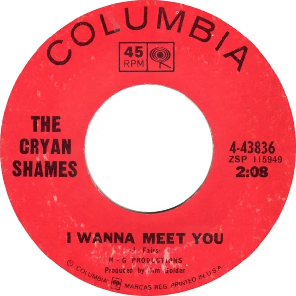 I Wanna Meet You