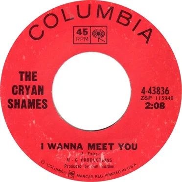 I Wanna Meet You
