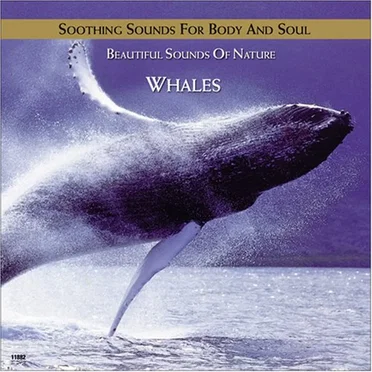 Whales by Beautiful Sounds of Nature - album cover
