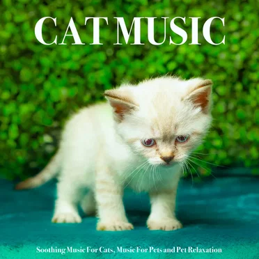 Cat Music: Soothing Music For Cats, Music For Pets and Pet Relaxation by Various Artists - album cover