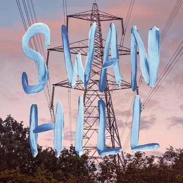 DISCOUNT ADVICE by Swan Hill - album cover