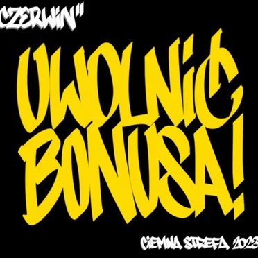 Uwolnić Bonusa by Czerwin TWM - album cover