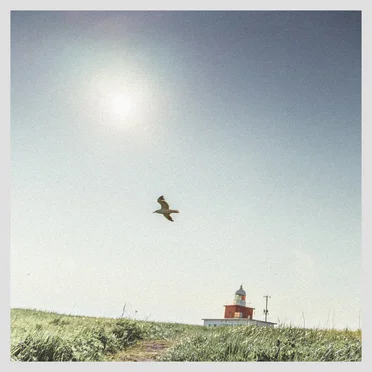 Waltz I by Yusuke Tsutsumi - album cover