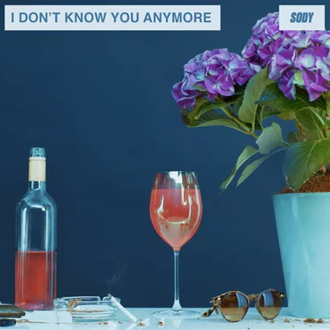 I Don’t Know You Anymore (demo)