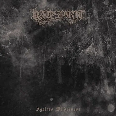 Ageless Wilderness by Hatespirit - album cover