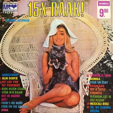 15x raak! by Various Artists - album cover