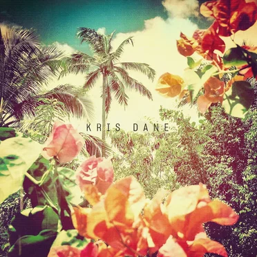 U.N.S.U.I by Kris Dane - album cover