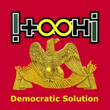 Democratic Solution by !T.O.O.H.! - album cover