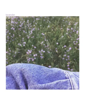 Lavender
