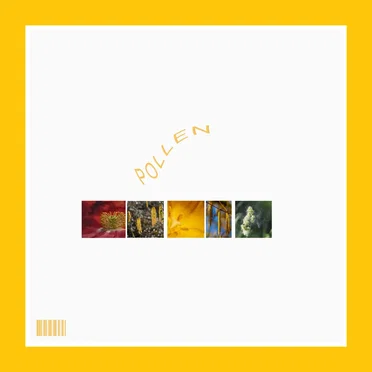 Pollen by Hannah Jadagu - album cover