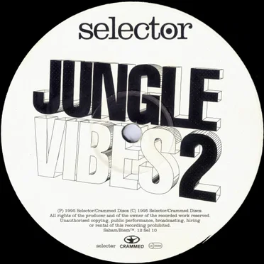 Jungle Vibes 2 by Various Artists - album cover