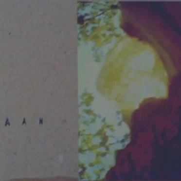 Parantavassa kehdossa by Aan - album cover