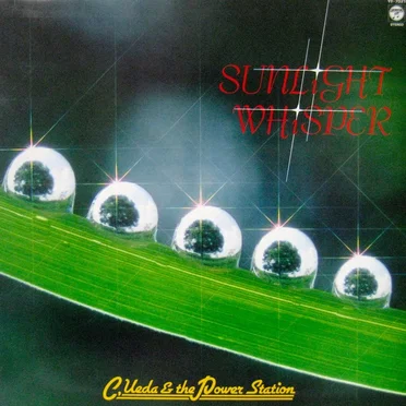 Sunlight Whisper