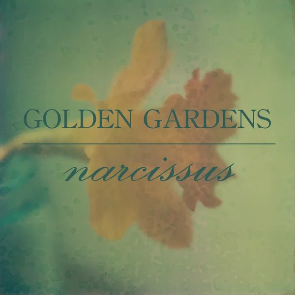 Narcissus