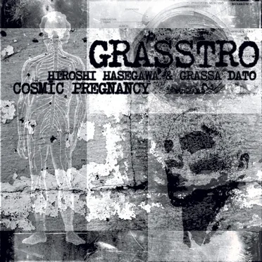 Cosmic Pregnancy by Grasstro - album cover